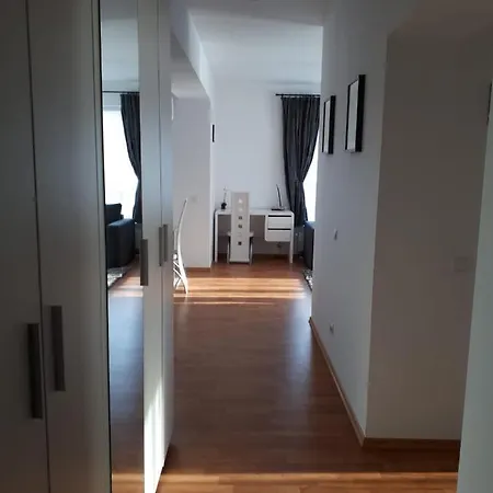 Anka Norilor * Брашов